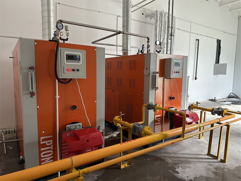 年產(chǎn)2000噸，看蒸汽發(fā)生器如何提升非油炸速食面生產(chǎn)效率