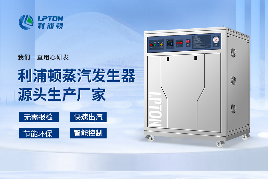 利浦頓高溫過熱蒸汽發(fā)生器在化工廠的應(yīng)用