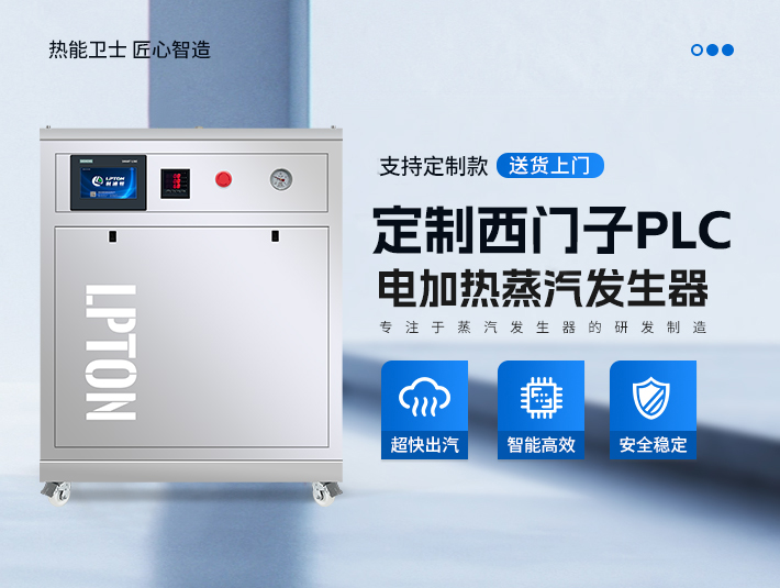 定制款西門子PLC蒸汽發(fā)生器