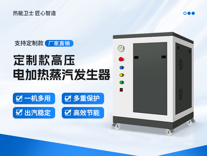 定制款高壓蒸汽發(fā)生器