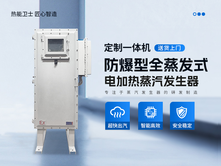 定制一體防爆全蒸發(fā)式電蒸汽發(fā)生器