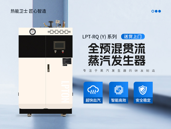 0.5t全預(yù)混燃?xì)庹羝l(fā)生器