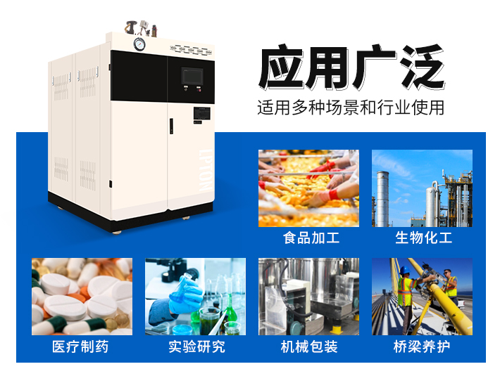 0.5t全預(yù)混燃?xì)庹羝l(fā)生器